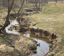 No riparian buffer and erosion along Jack's Run